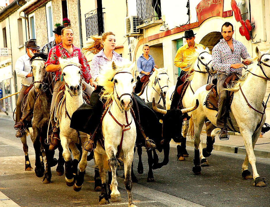 camargue