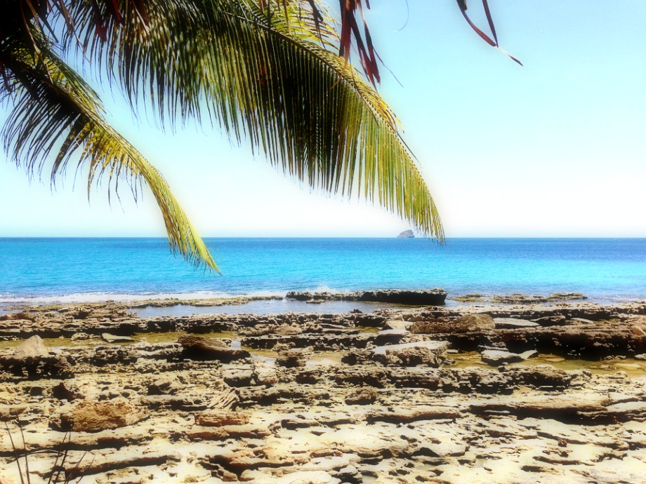 La location de voiture, un bon plan pour être totalement libre pendant votre voyage dans les îles