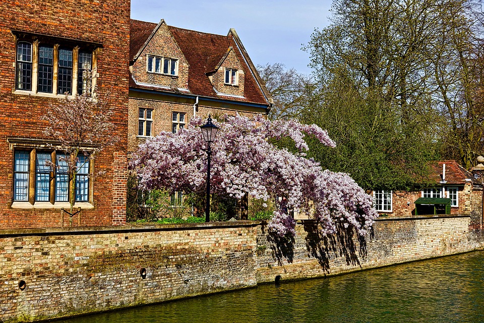 Ce que vous devez voir à Cambridge