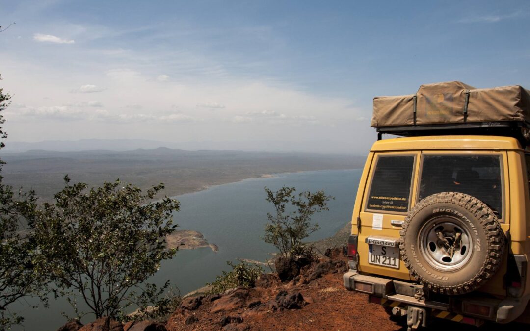 Safari en Afrique : Les 5 meilleurs pays pour une expérience inoubliable