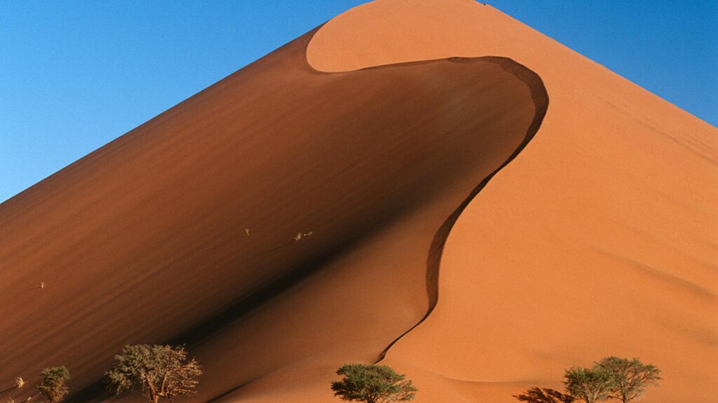 Le désert du Namib