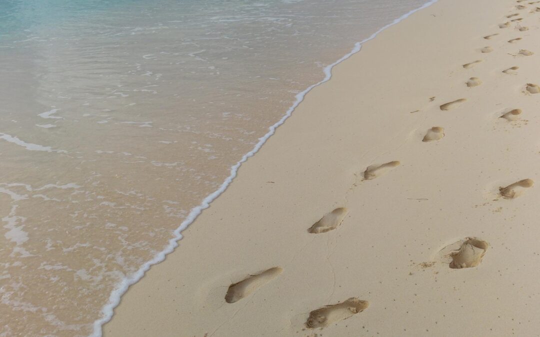 Les 5 meilleures applications pour organiser vos voyages